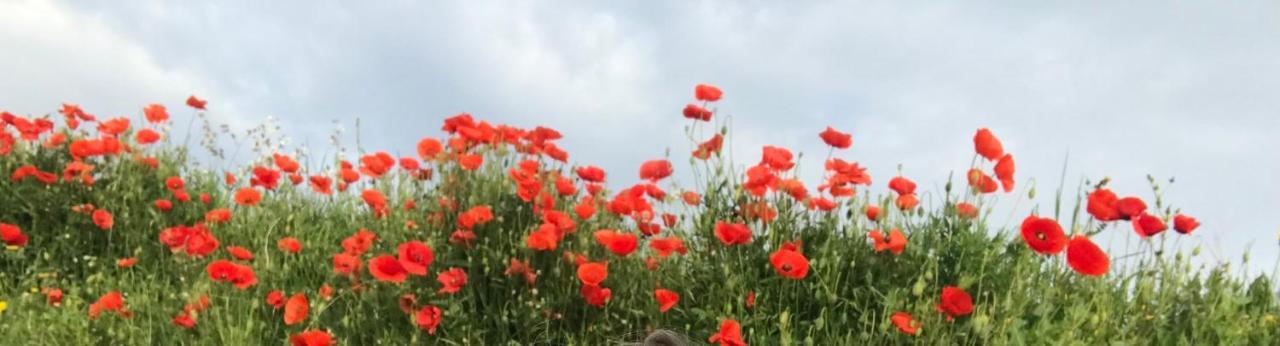 ホテル Le Jardin Aspiran エクステリア 写真