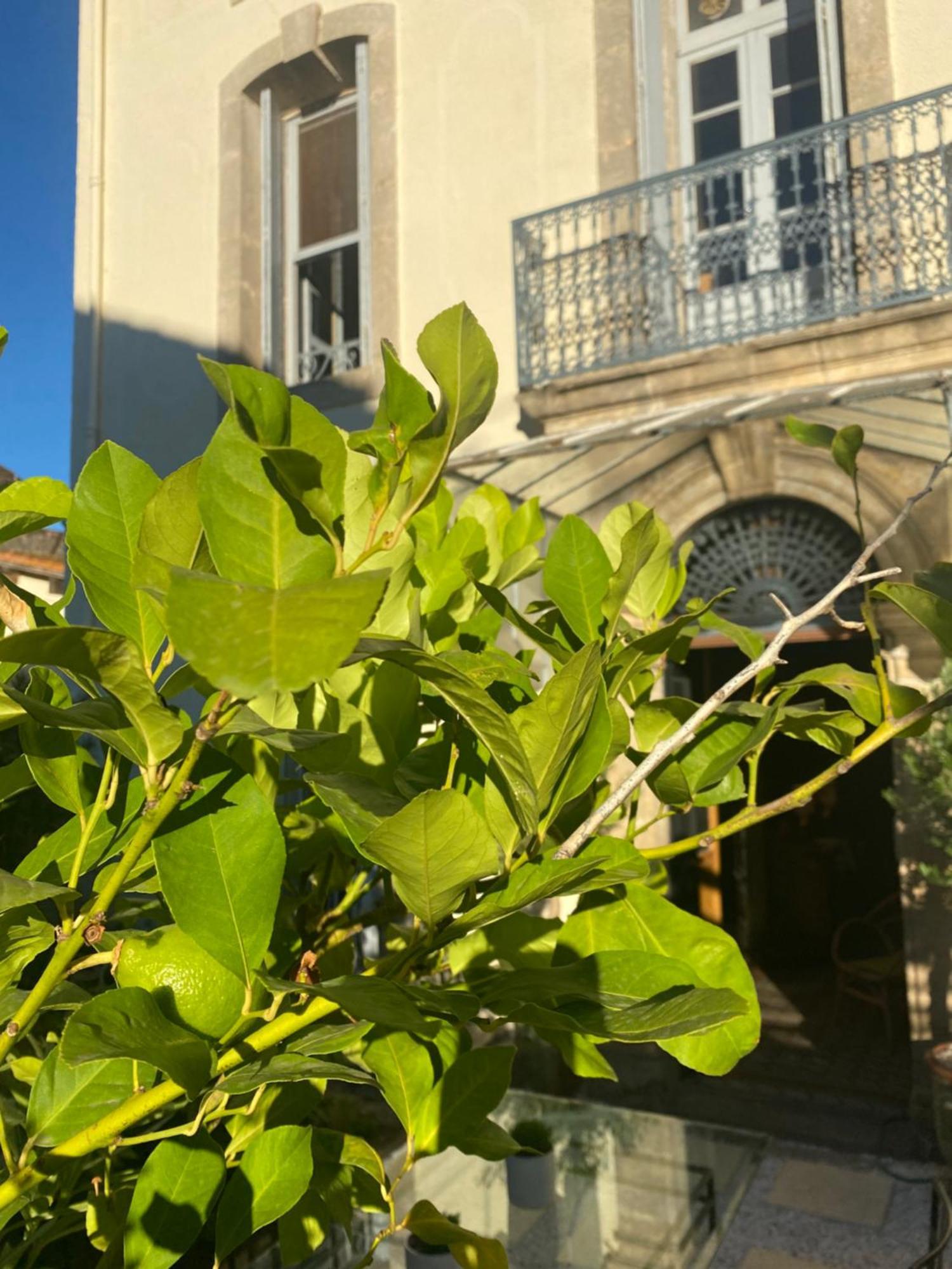 ホテル Le Jardin Aspiran エクステリア 写真